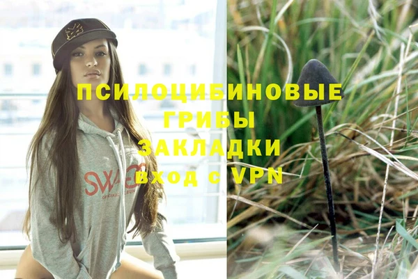 apvp Корсаков