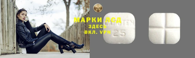 apvp Корсаков