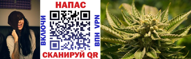 Конопля ГИДРОПОН  Купить  Катав-Ивановск 